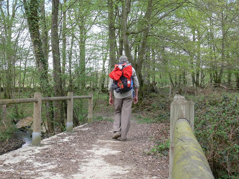 Mont Saint Michel 2010 - 292.jpg